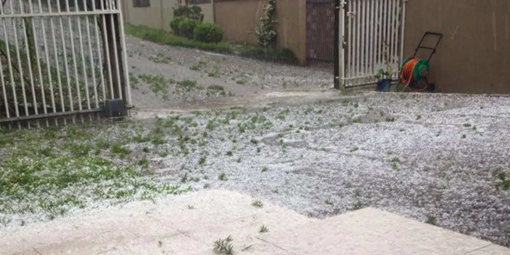 Imagem ilustrativa da imagem Granizo de cinco minutos assusta e deixa jardins brancos
