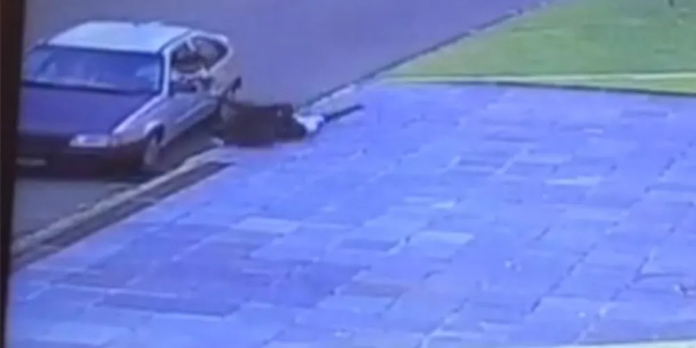 Imagem ilustrativa da imagem Vídeo flagra bandido puxando cabelo de mulheres para roubar