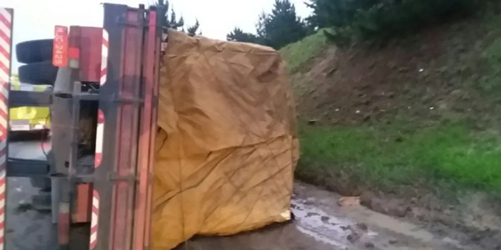 Imagem ilustrativa da imagem Caminhão de cachaça tomba e bebida escorre pela rodovia