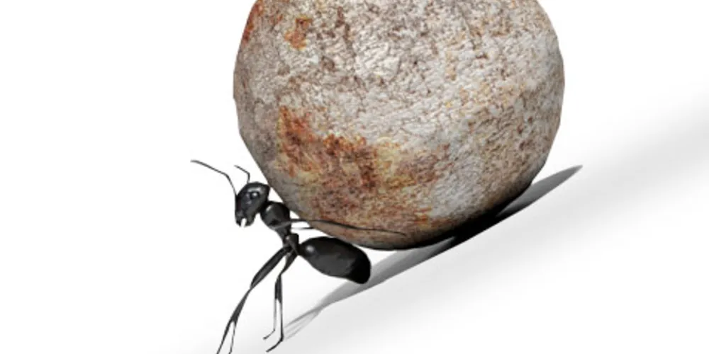 Imagem ilustrativa da imagem Você está realmente comprometido com a mudança?
