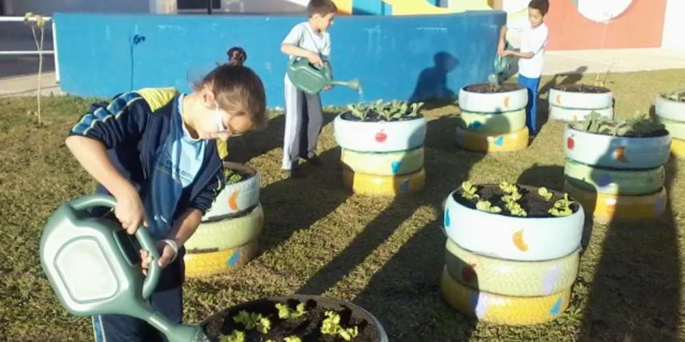Imagem ilustrativa da imagem Programa leva horta às escolas municipais