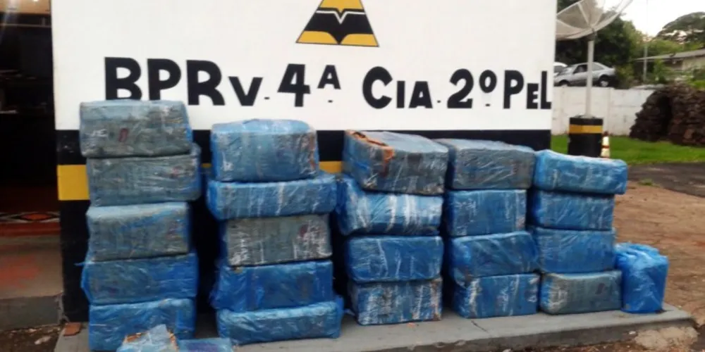 Imagem ilustrativa da imagem Polícia acha 810 kg de maconha em caminhão de mudanças