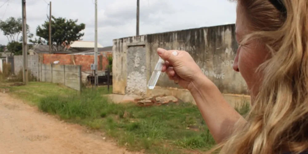 Imagem ilustrativa da imagem Laudo confirma focos do Aedes aegypti na cidade