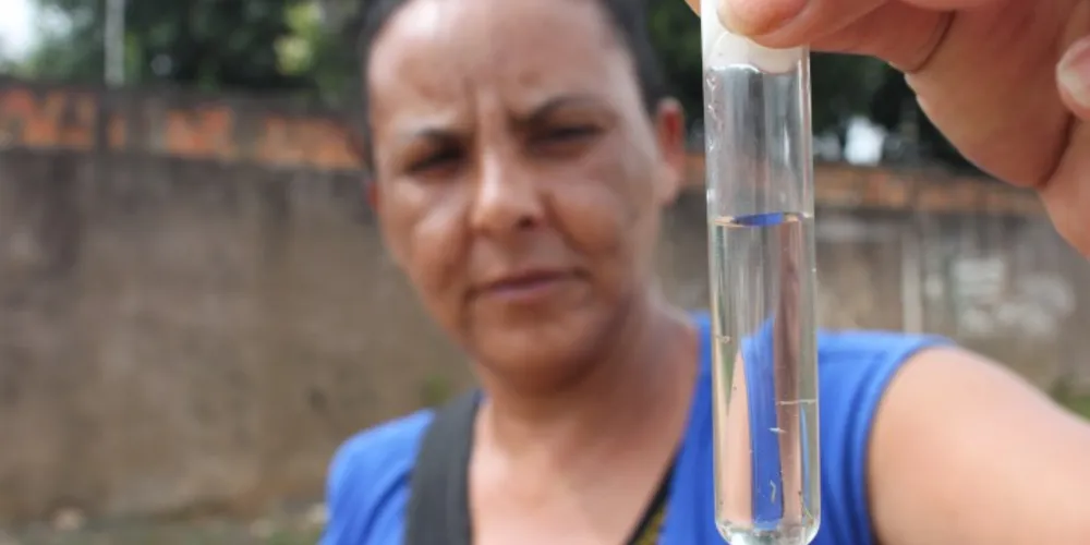 Imagem ilustrativa da imagem Zoonoses aguarda laudo sobre larvas encontradas em PG