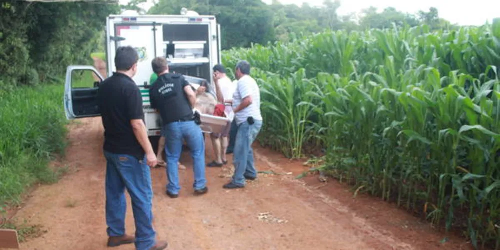 Imagem ilustrativa da imagem Carro encalhado escondia corpo de entregador de gás em PG