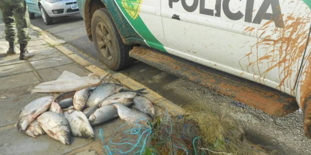 Imagem ilustrativa da imagem Polícia Ambiental apreende 34 quilos de peixe na região