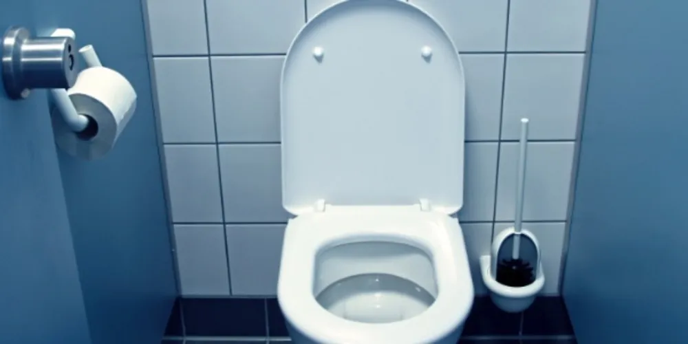 Imagem ilustrativa da imagem É errado jogar papel higiênico no vaso sanitário?