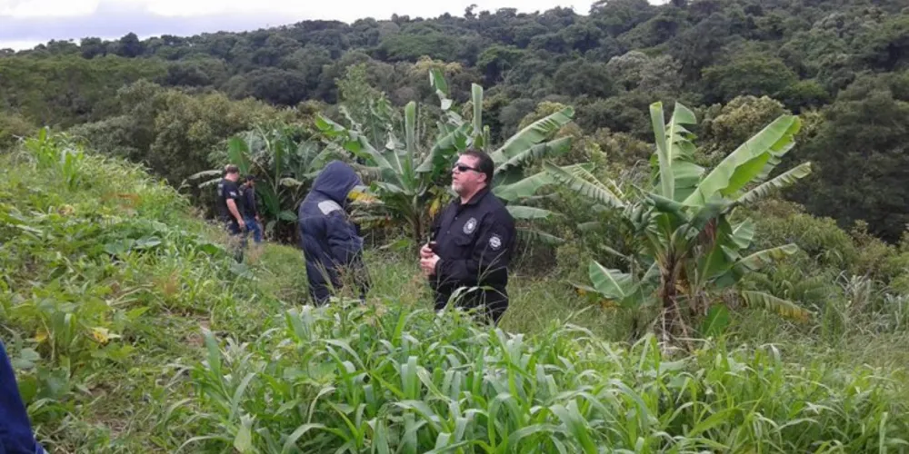 Imagem ilustrativa da imagem Polícia encontra osso durante busca por corpo em Carambeí