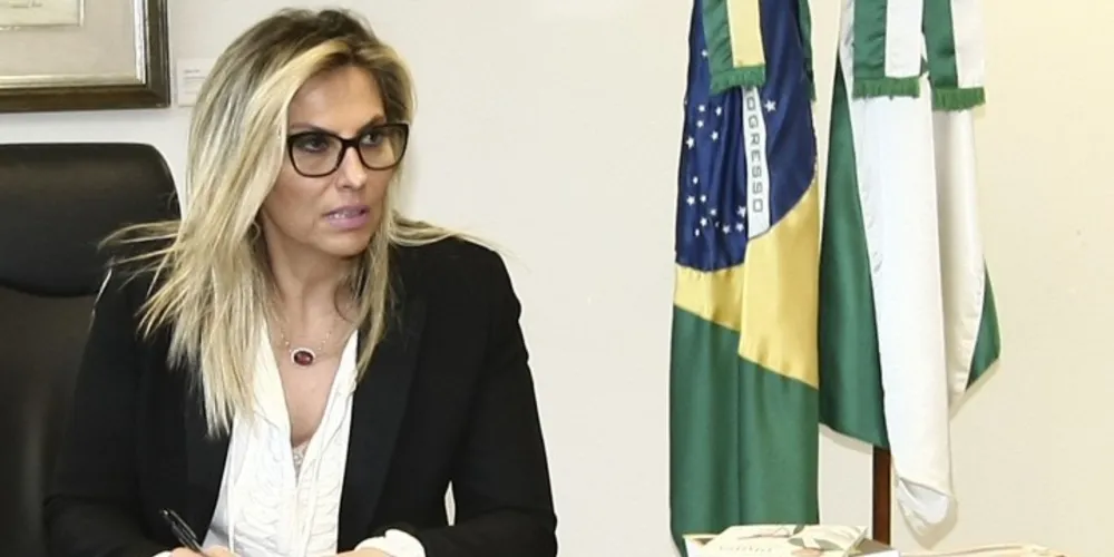 Imagem ilustrativa da imagem Em Brasília, Paraná fortalece busca de recursos