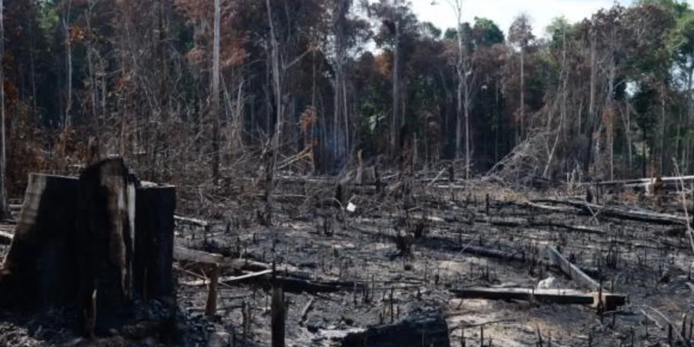 Imagem ilustrativa da imagem Para Greenpeace, acordo encerra era de combustíveis fósseis