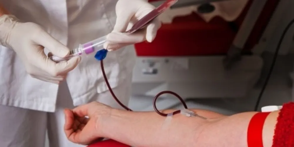 Imagem ilustrativa da imagem Palmeira promove campanha de doação de sangue