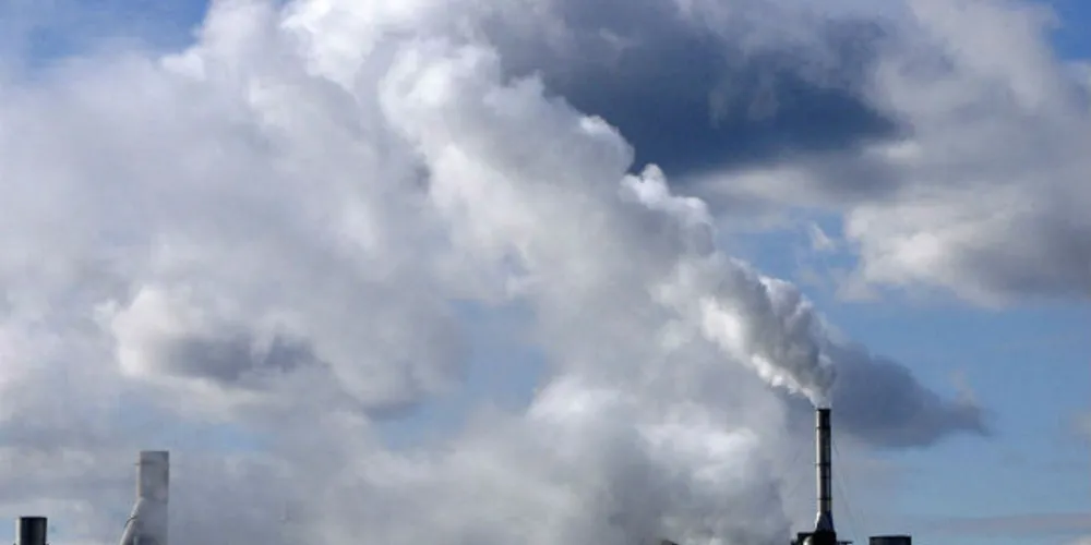 Imagem ilustrativa da imagem 'COP 21' aprova fundo de U$S 100 bi para limitar aquecimento global