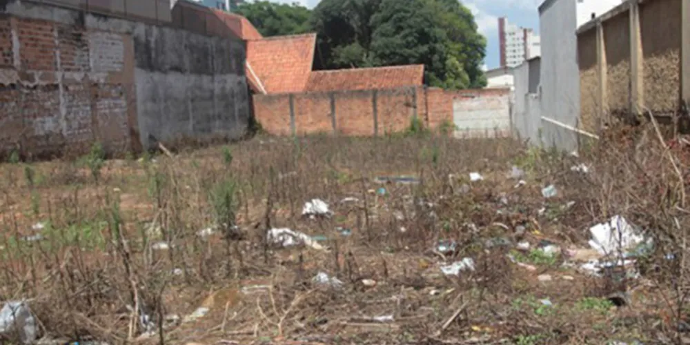 Imagem ilustrativa da imagem Câmara vota lei contra aedes aegypti