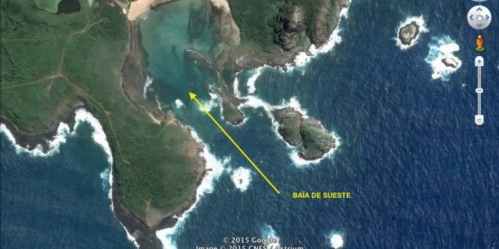 Imagem ilustrativa da imagem Turista paranaense perde braço após sofrer ataque de tubarão