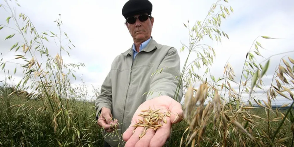 Imagem ilustrativa da imagem PIB Agropecuário dos Campos Gerais passa de R$ 4,7 bi