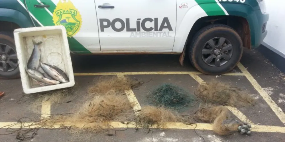 Imagem ilustrativa da imagem Polícia Ambiental flagra pesca predatória na região
