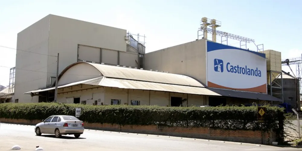 Imagem ilustrativa da imagem Sebrae e Castrolanda montam Projeto de Gestão