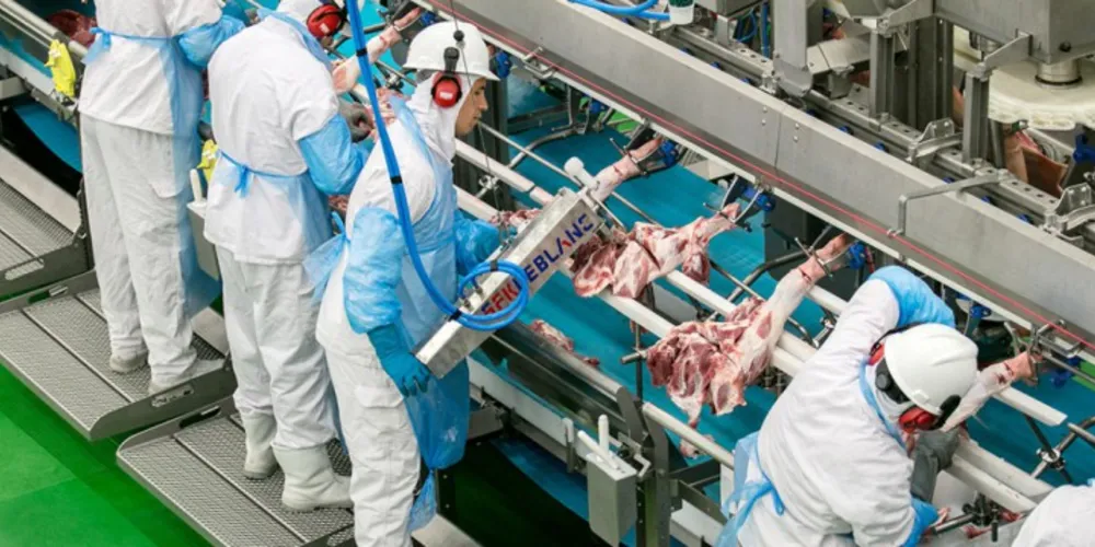 Imagem ilustrativa da imagem Unidade de carnes abrirá 200 novas vagas em 2016