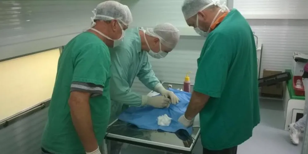 Imagem ilustrativa da imagem Castramóvel recebe cadastros do Santa Paula até quinta