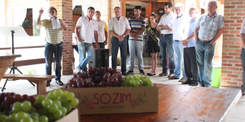 Imagem ilustrativa da imagem Feira da Uva deve vender 25 toneladas da fruta nesta edição
