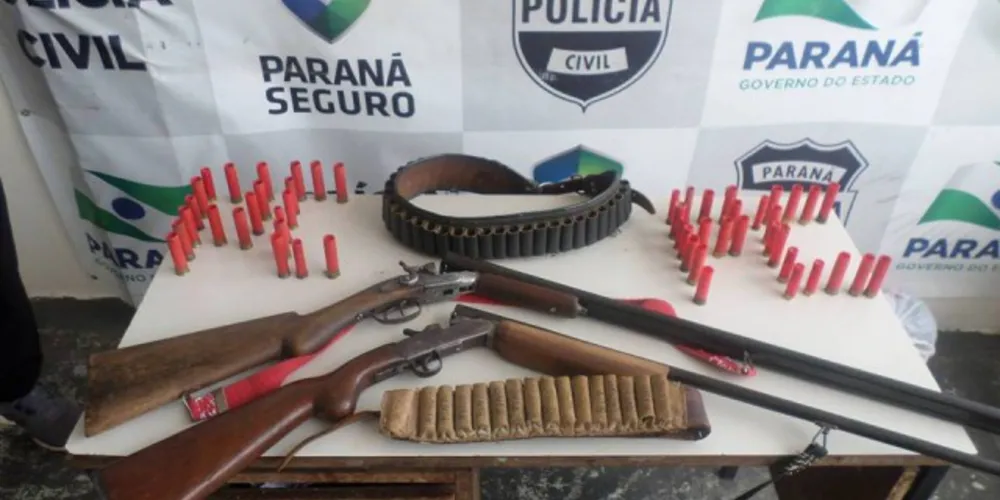 Imagem ilustrativa da imagem Polícia Civil de Castro apreende armas e munições