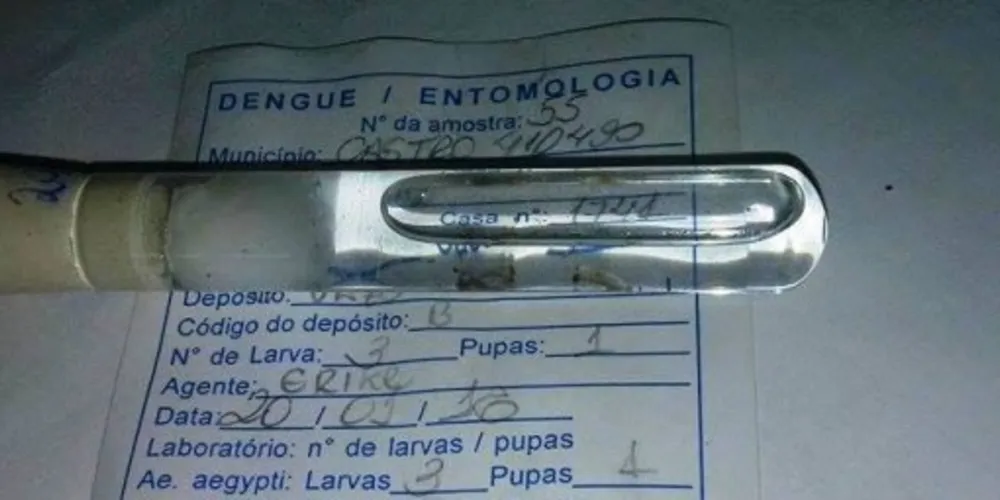 Imagem ilustrativa da imagem Larvas do Aedes aegypti são achadas em Castro 
