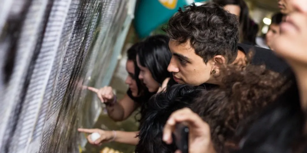 Imagem ilustrativa da imagem Ministério da Educação divulga nota de corte do Sisu