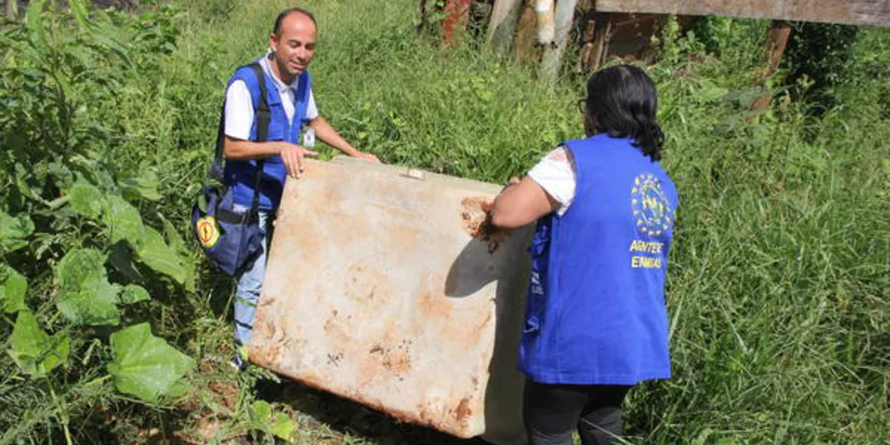 Imagem ilustrativa da imagem Hora H: PG entra na guerra contra o Aedes aegypti