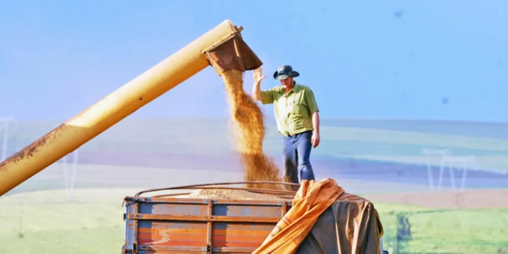 Imagem ilustrativa da imagem Balança comercial de PG tem superávit de R$ 235 milhões