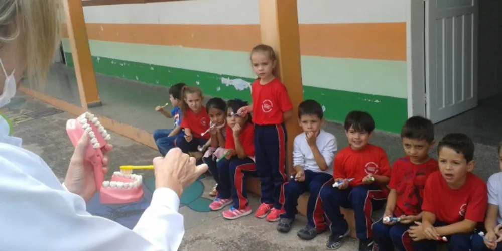 Imagem ilustrativa da imagem Escolas de Castro recebem orientações de saúde bucal