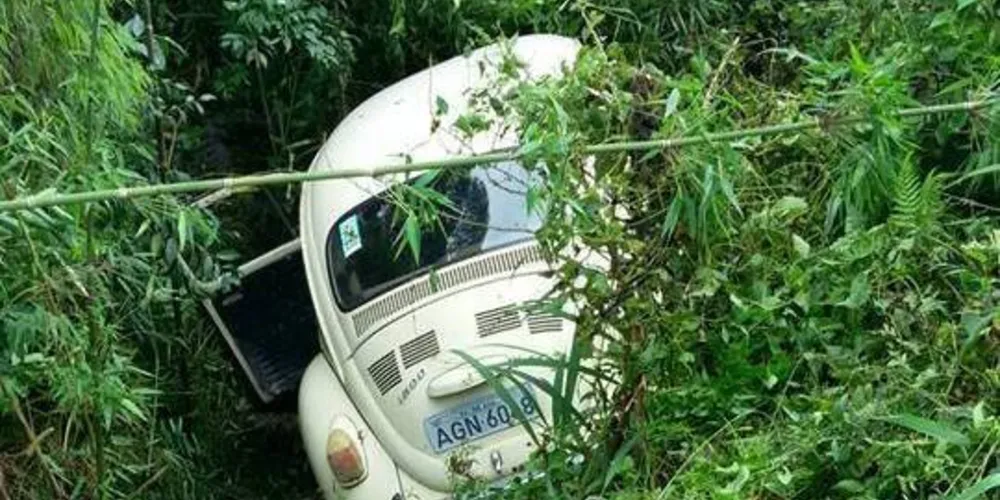 Imagem ilustrativa da imagem Acidente em estrada rural da região tira a vida de agricultor