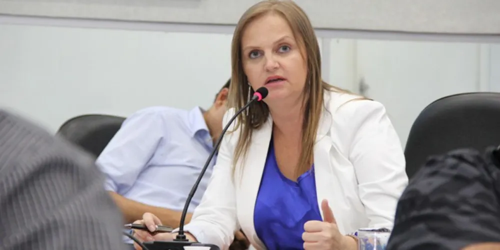 Imagem ilustrativa da imagem Acipg diz que Prefeitura não tem estrutura para emitir laudo ambiental