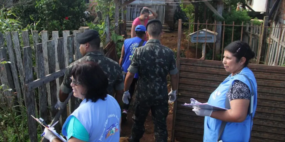 Imagem ilustrativa da imagem Chikungunya e Zika crescem, mas dengue é perigo real