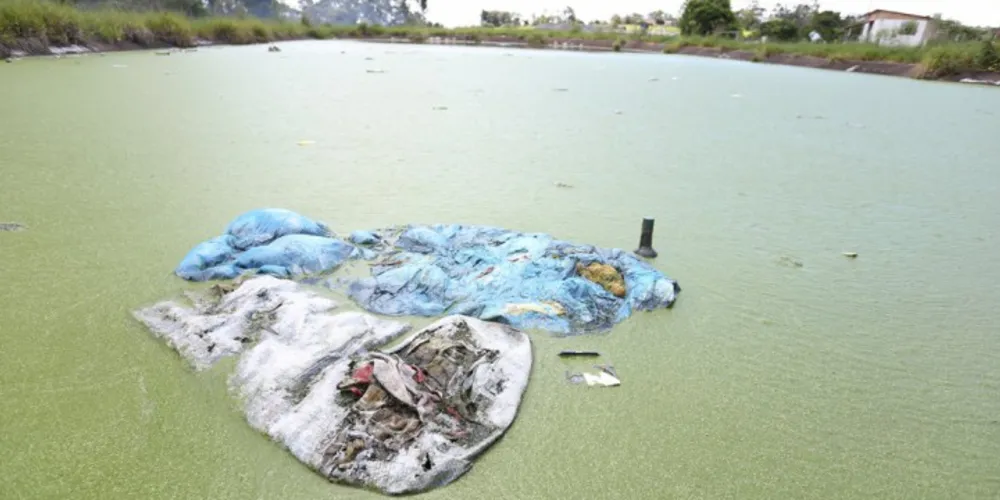 Imagem ilustrativa da imagem Antigo matadouro vira criadouro em potencial do Aedes aegypti