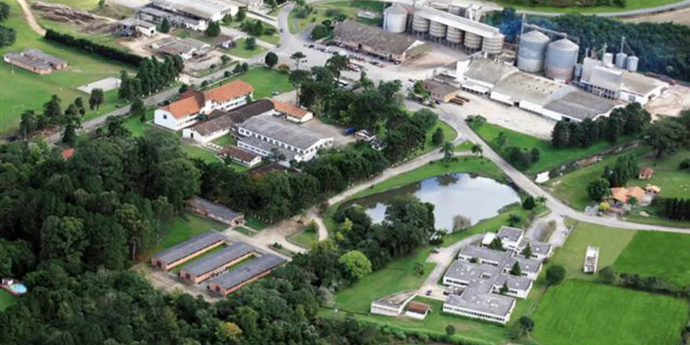 Imagem ilustrativa da imagem Cooperativa Witmarsum fatura R$ 102 milhões em 2015