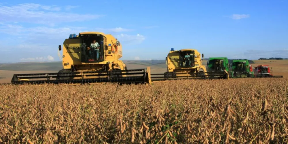 Imagem ilustrativa da imagem Preço da soja anima agricultores no Paraná