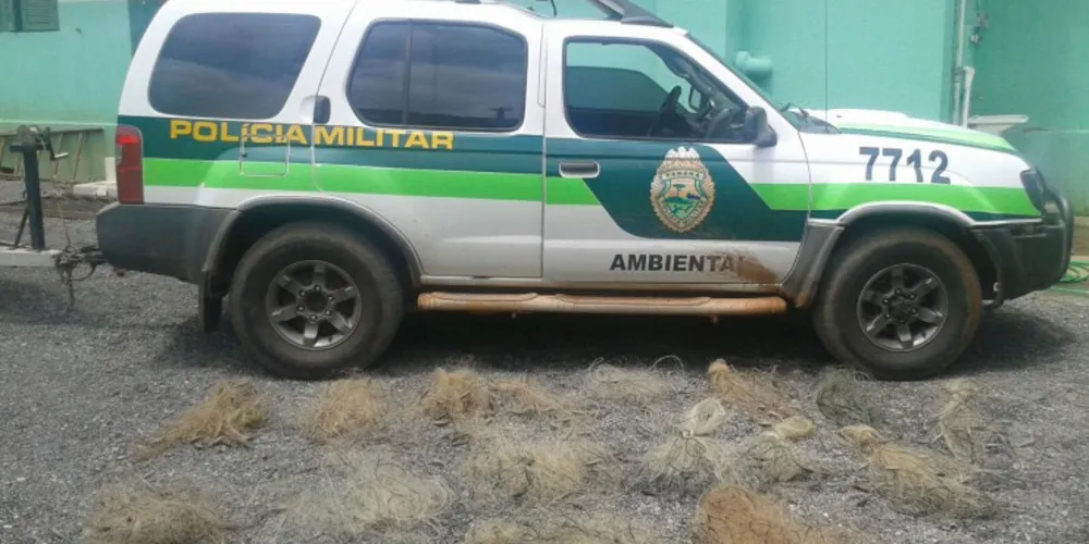 Imagem ilustrativa da imagem Polícia Ambiental combate pesca predatória no Alagados