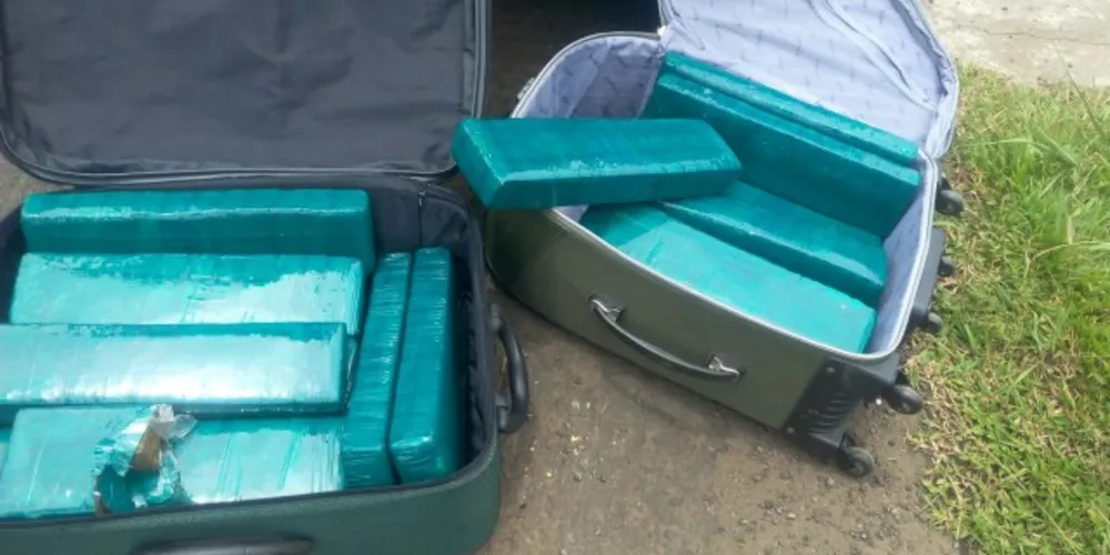 Imagem ilustrativa da imagem Grupo que transportava 40 kg de maconha para PG é preso