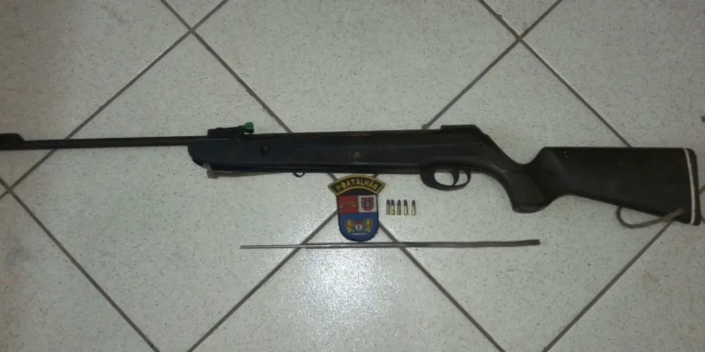Imagem ilustrativa da imagem Polícia Militar apreende armas de fogo em PG e Arapoti