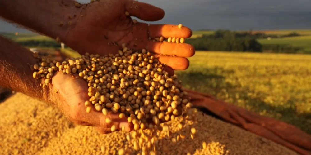 Imagem ilustrativa da imagem BRDE terá mais de R$ 1,3 bilhão para financiamentos no Paraná