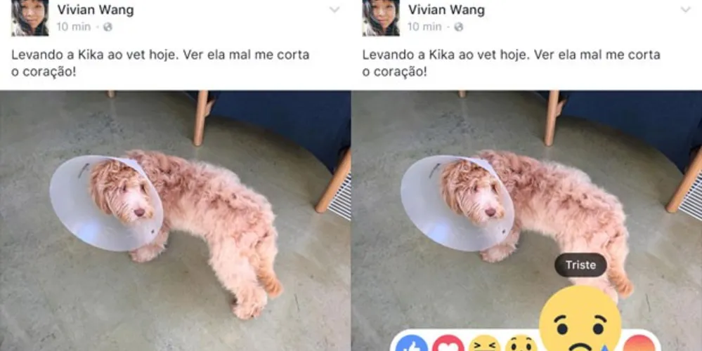 Imagem ilustrativa da imagem Facebook libera cinco novos botões alternativos ao 'curtir'