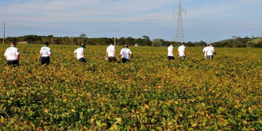 Imagem ilustrativa da imagem Ponta Grossa recebe hoje o 'Rally da Safra 2016'