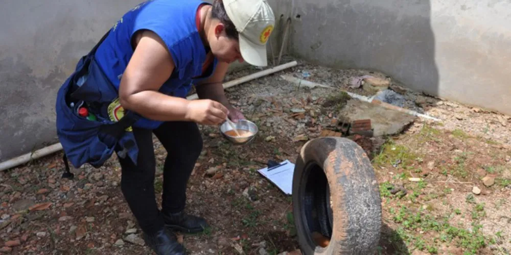 Imagem ilustrativa da imagem Sesa aponta casos suspeitos de Zika e Chikungunya em PG