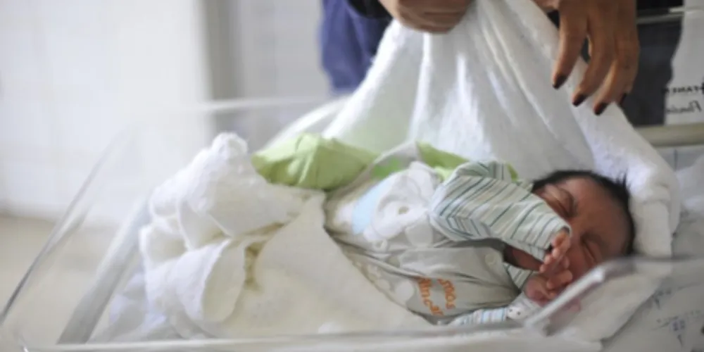 Imagem ilustrativa da imagem Casos confirmados de microcefalia sobem para 641