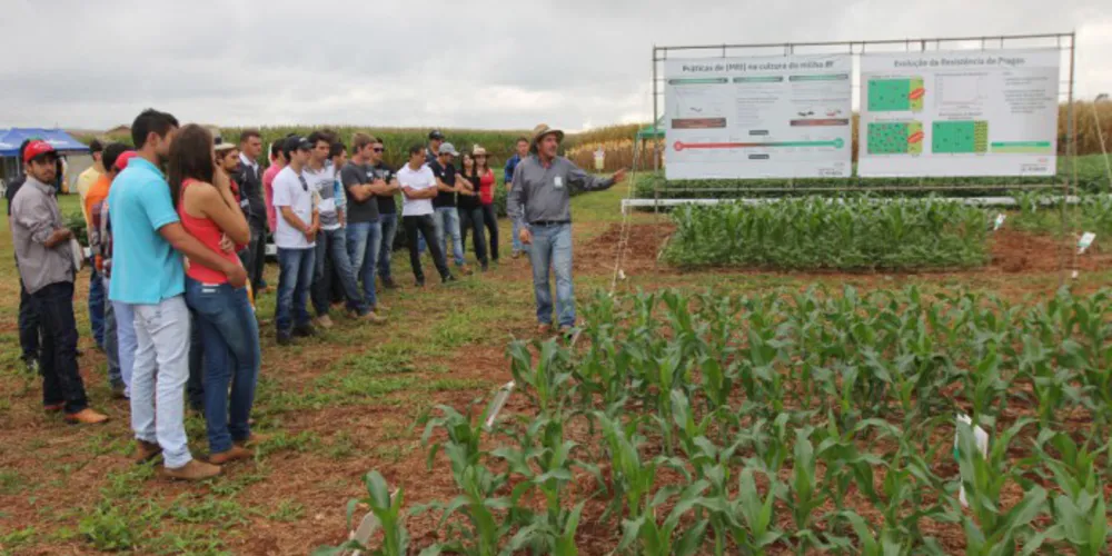 Imagem ilustrativa da imagem ‘Dia de Campo’ do Cescage discute agronegócio em PG