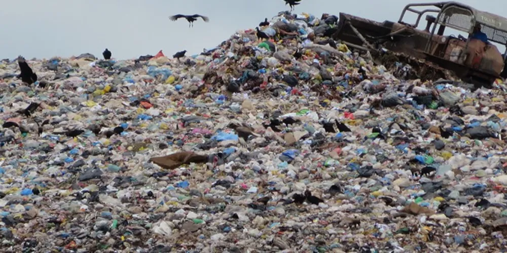 Imagem ilustrativa da imagem Comdema denuncia crime ambiental no aterro público de PG
