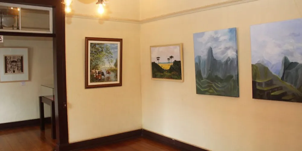 Imagem ilustrativa da imagem Exposição em Castro segue aberta até abril