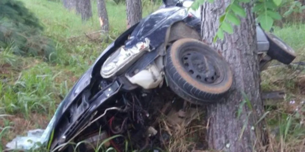Imagem ilustrativa da imagem Carro bate contra árvore na BR-153 e mata homem em Imbituva