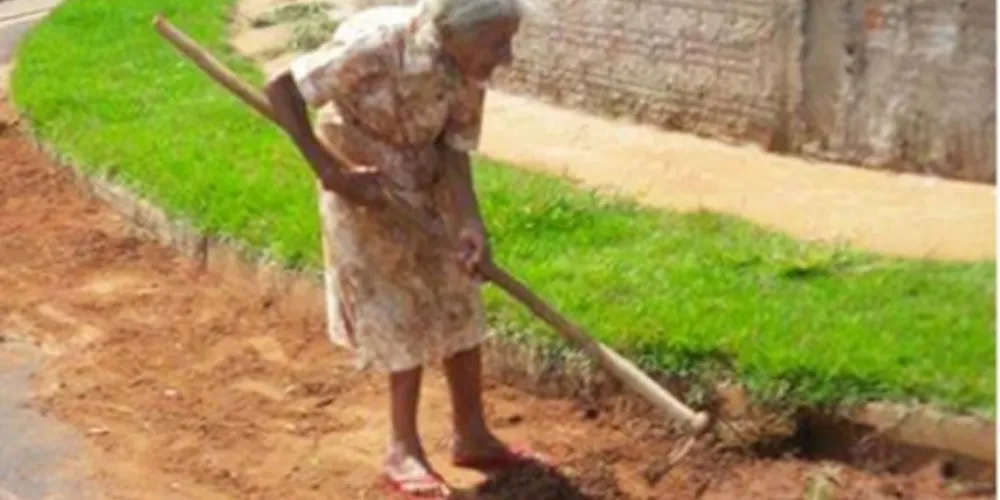 Imagem ilustrativa da imagem Foto de idosa de 97 anos capinando ganha a internet