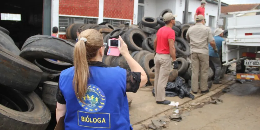 Imagem ilustrativa da imagem Força-tarefa apreende três mil pneus em depósito irregular